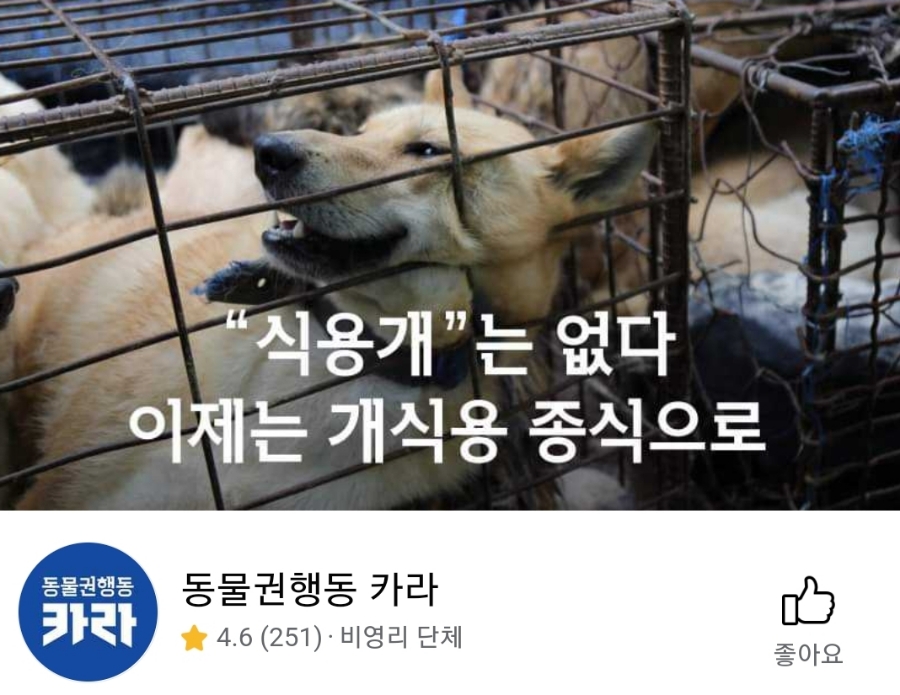 게시판 KBS 태종 이방원, 말 학대 논란, 카라 동물권행동 단체 고소장 13