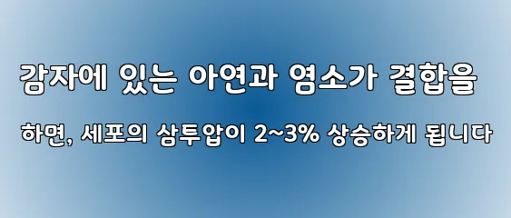 감자에 있는 아연과 염소가 결합을 하면, 세포의 삼투압이 2~3% 상승하게 됩니다