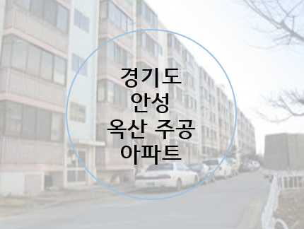  서울 경기 인천 수도권 재건축 투자 저층 주공 아파트 찾기-3편 안성 옥산  주공 아파트