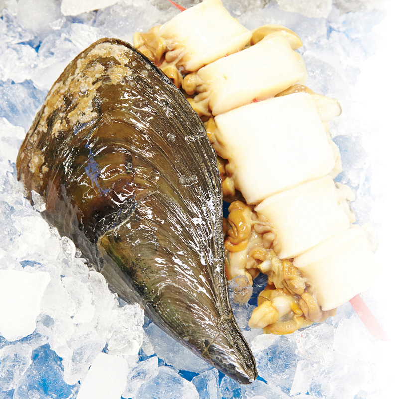 바다부채
