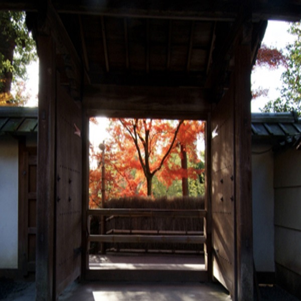교토 여행 추천 명소 3. 교토시 니시쿄구(西京区) - 스즈모지(鈴虫寺)