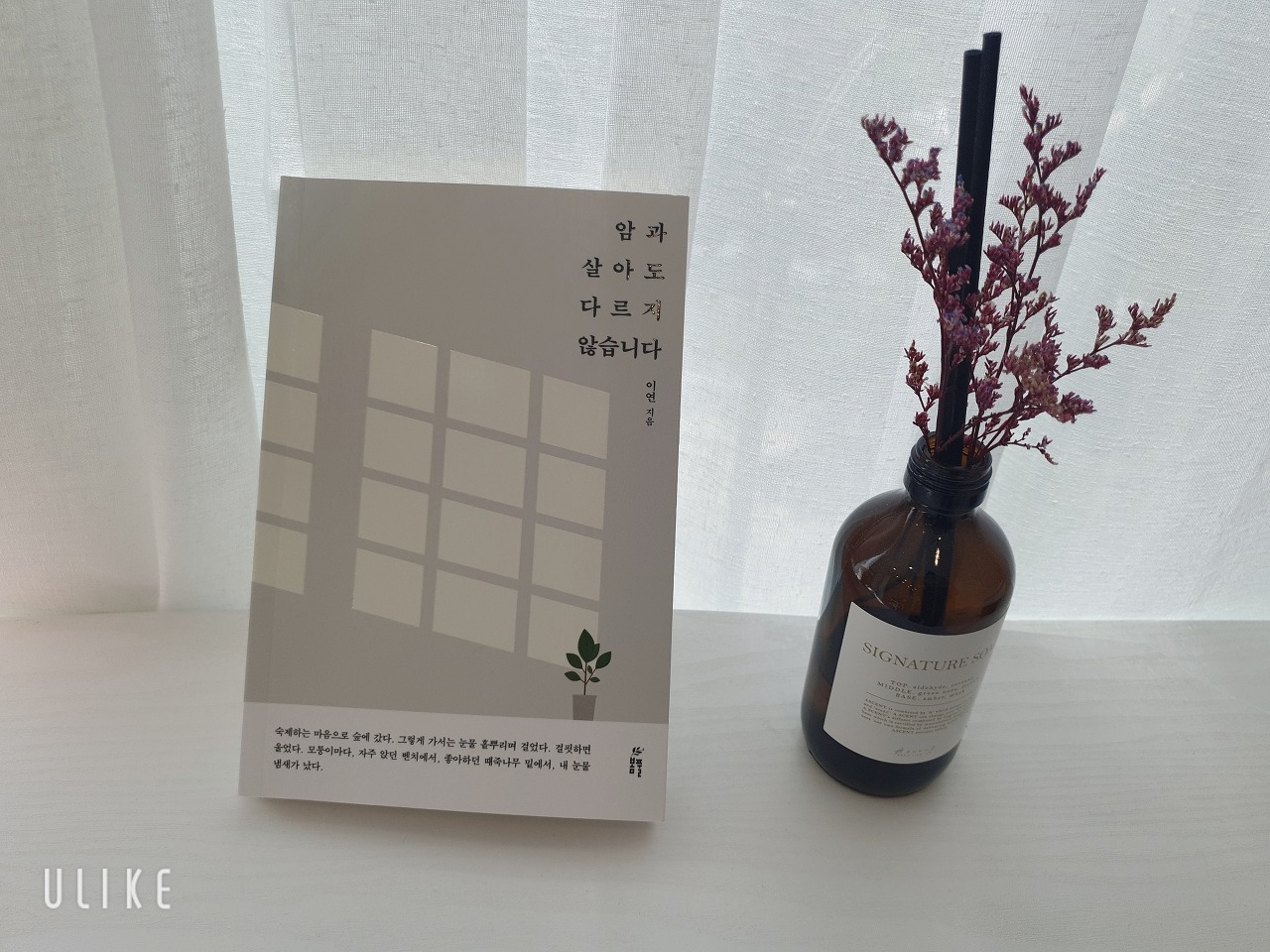  암투병 지인에게 권하면 좋은 책 추천 『암과 살아도 다르지 않습니다』