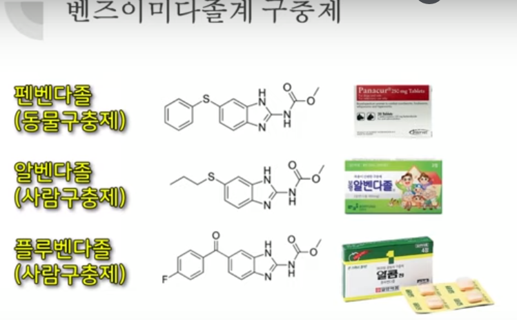  강아지 구충제(펜벤다졸), 구충제(알벤다졸) 암 치료효과