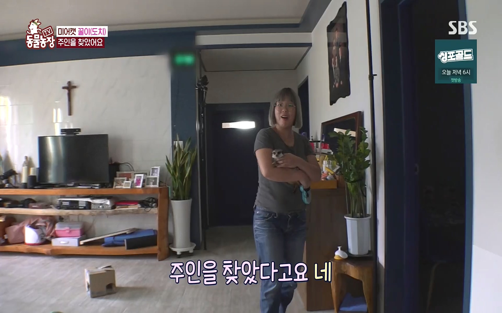 TV 동물농장.E1088.220925p.H264-F1RST.mp4_20220925_174411.099.jpg