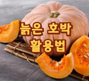 늙은호박 효능 칼로리 요리법_9