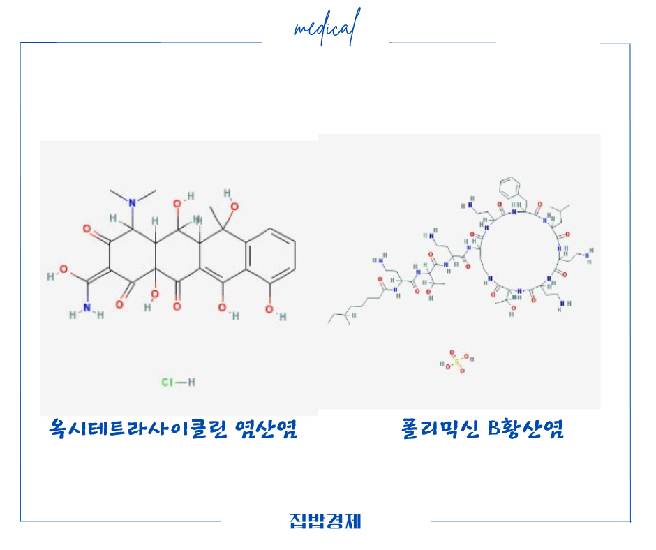 성분