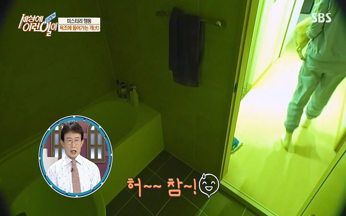 순간포착 세상에 이런일이.E1181.220525p-NEXT.mp4_20220525_202539.682.jpg