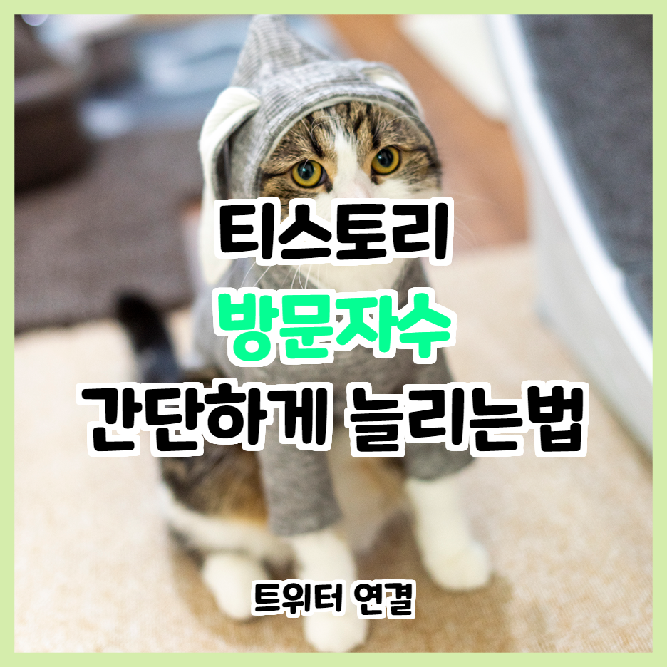  티스토리 방문자수 늘리는법(트위터 연동)