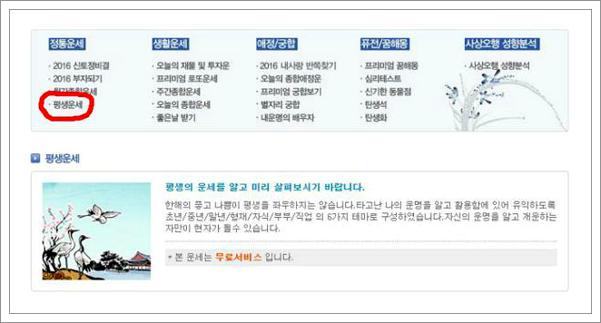 무료 사주팔자