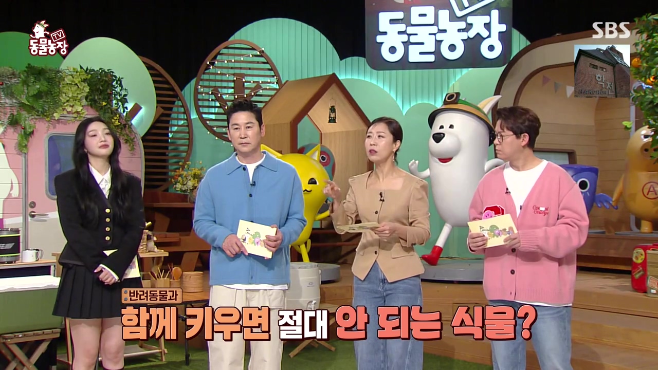 TV 동물농장.E1168.240422p-NEXT.mp4_20240421_163058.342.jpg