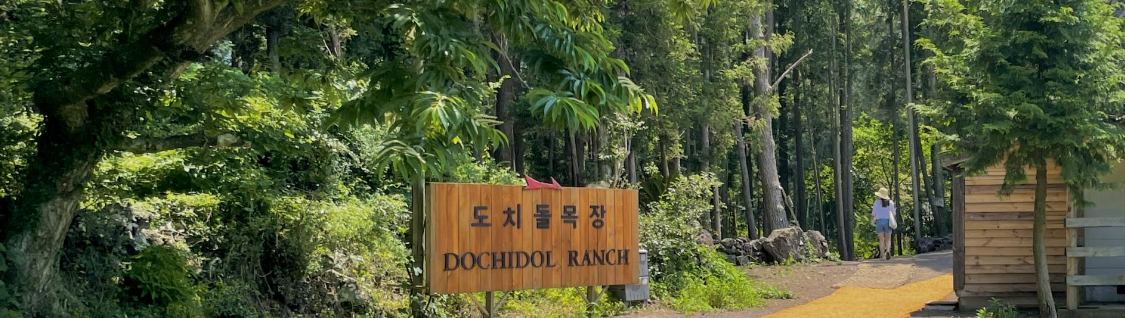 도치돌 알파카 목장