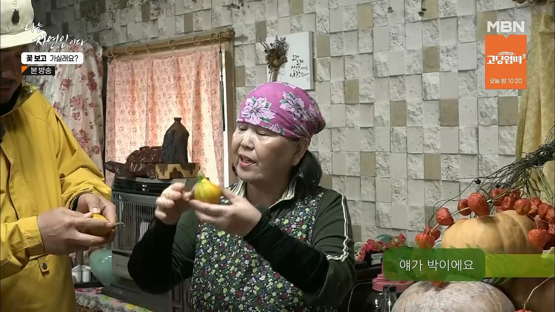 나는 자연인이다.E545.230315p.H264-F1RST.mp4_20230316_212103.385.jpg