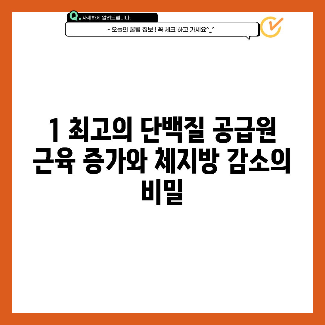 1. 최고의 단백질 공급원: 근육 증가와 체지방 감소의 비밀