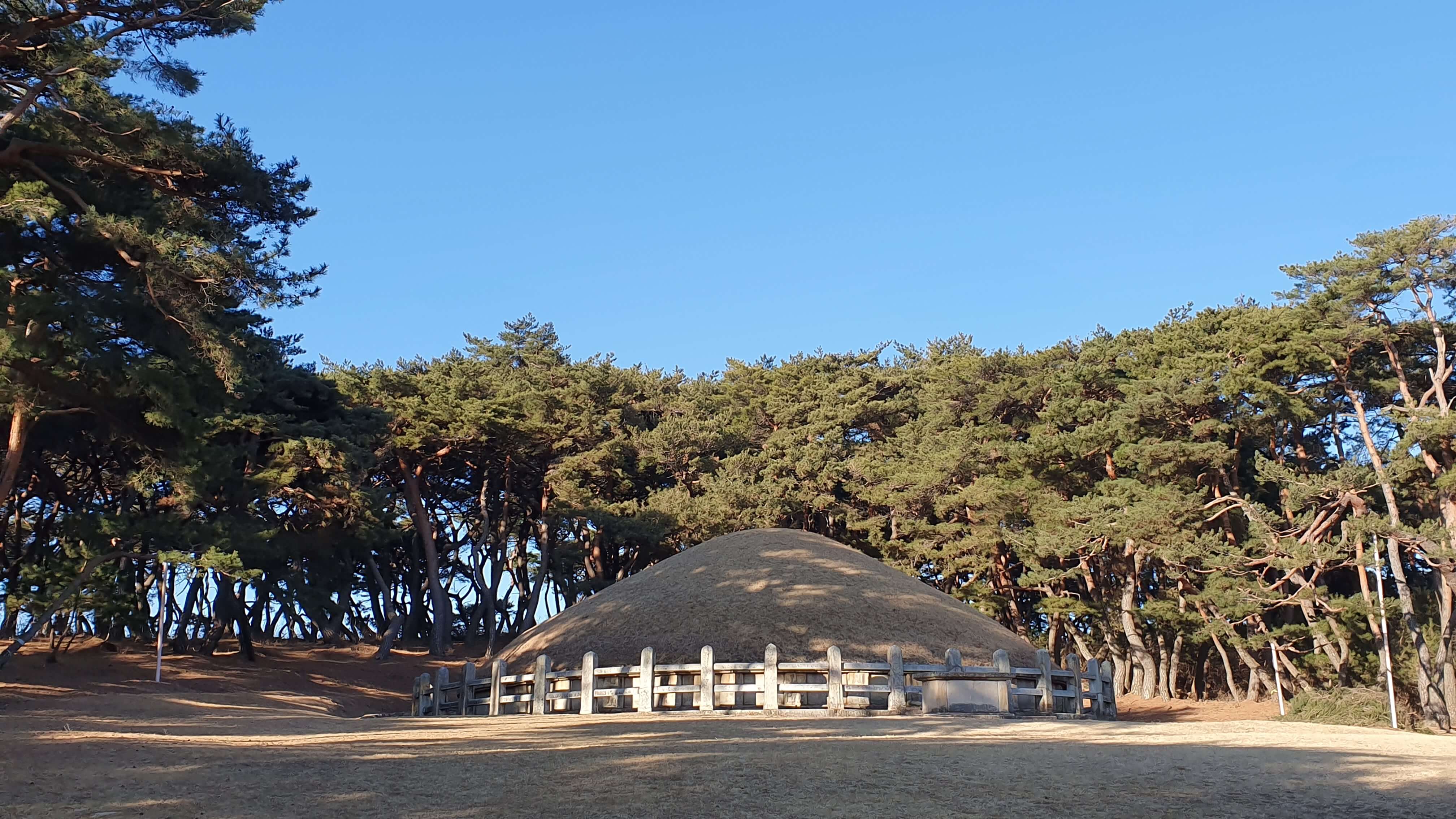 경주 원성왕릉경주 원성 왕릉 (괘릉)