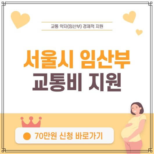서울시-임산부-교통비지원-포스터