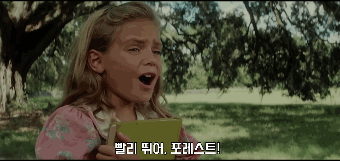 포레스트-검프