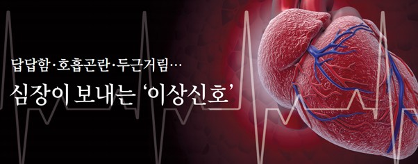 심장초음파 홀터 검사 필수 정보 정리 6