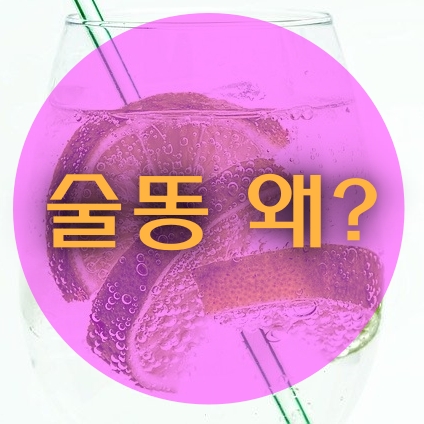술똥
