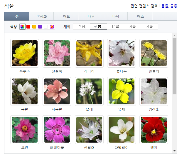 봄에피는 꽃 종류