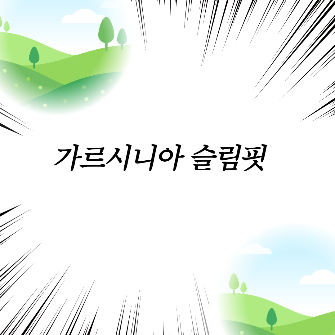  가르시니아 슬림핏