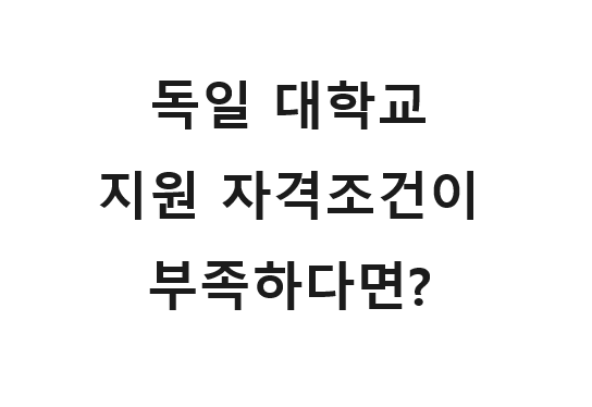  독일 대학 지원 자격 요건을 만족하지 못한다면 할 수 있는 방법들