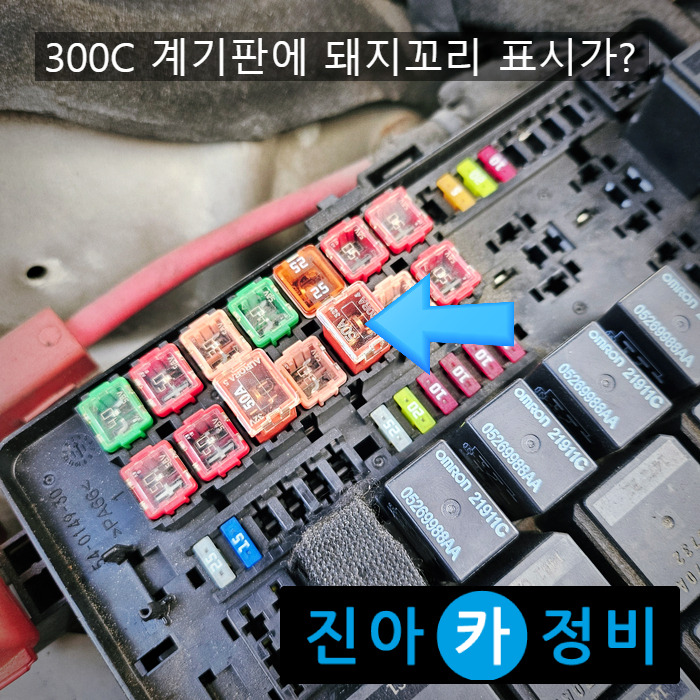 돼지꼬리 이미지