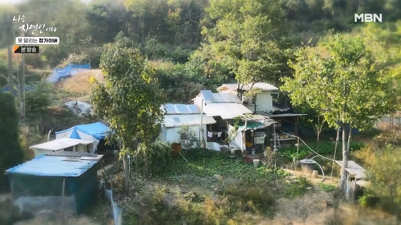 나는 자연인이다.E580.231116p-NEXT.mp4_20231116_202457.578.jpg