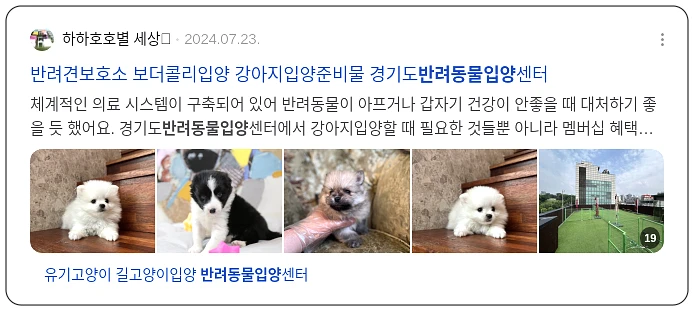 반려동물 입양_3_subsection