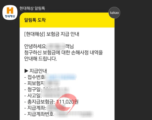 B형독감_실버처리후기