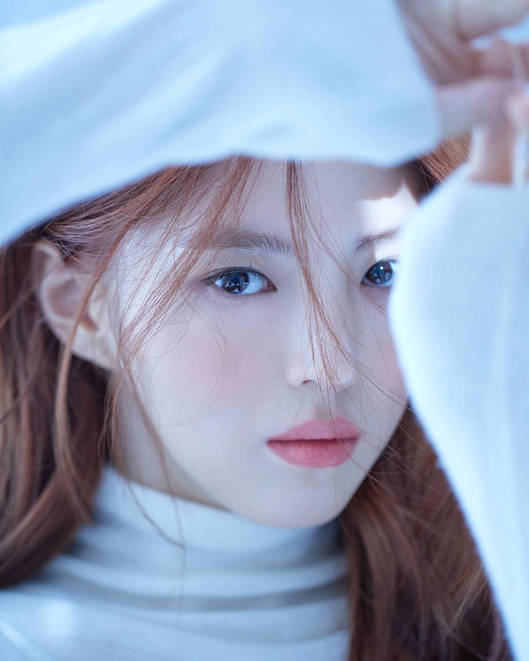  연예인 프로필 트렌드