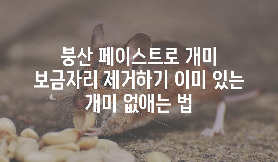 붕산 페이스트로 개미 보금자리 제거하기 이미 있는 개미 없애는 법