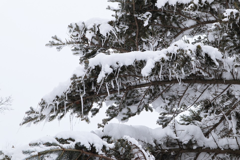 눈쌓인 겨울산 이미지 24