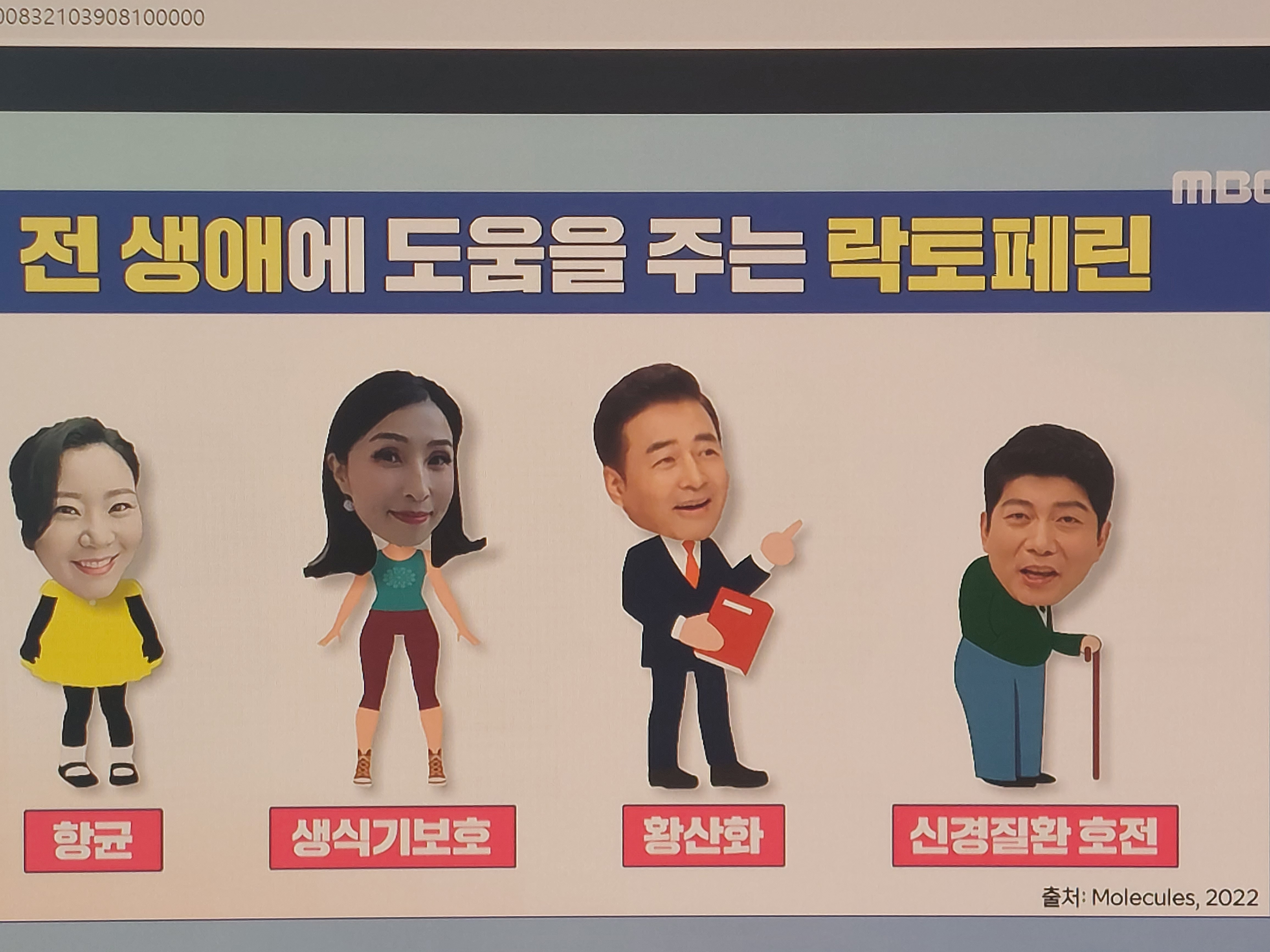 락토페린 효능