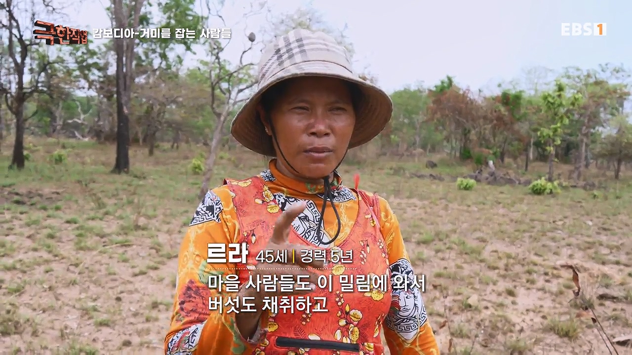 TV - 전 국민의 평생학교 EBS캄보디아 - 독충을 잡는 사람들.mp4_20230501_173139.218.jpg