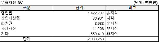 카카오게임즈(2022.12)의 무형자산BV를 정리한 표