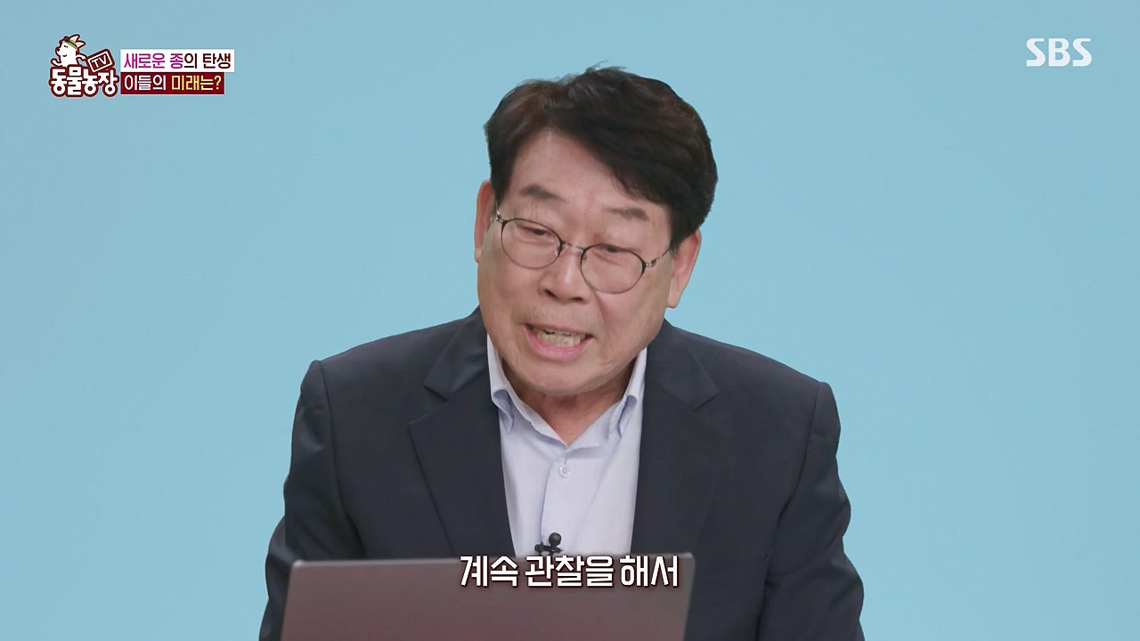 TV 동물농장.E1175.240610p-NEXT.mp4_20240609_160242.914.jpg