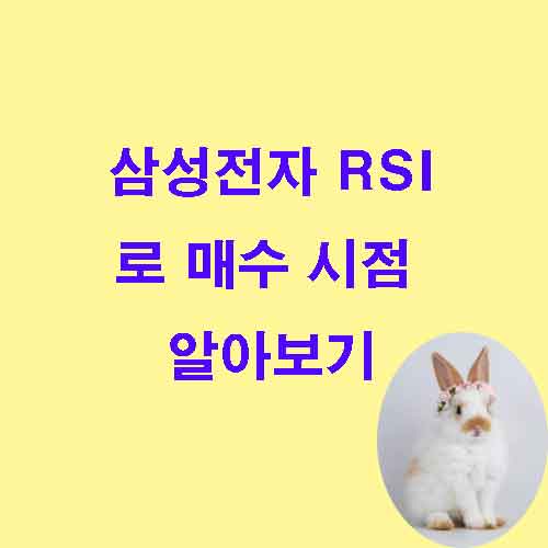 RSI보조지표