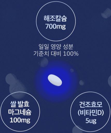 포뉴 칼슘 마그네슘 비타민D