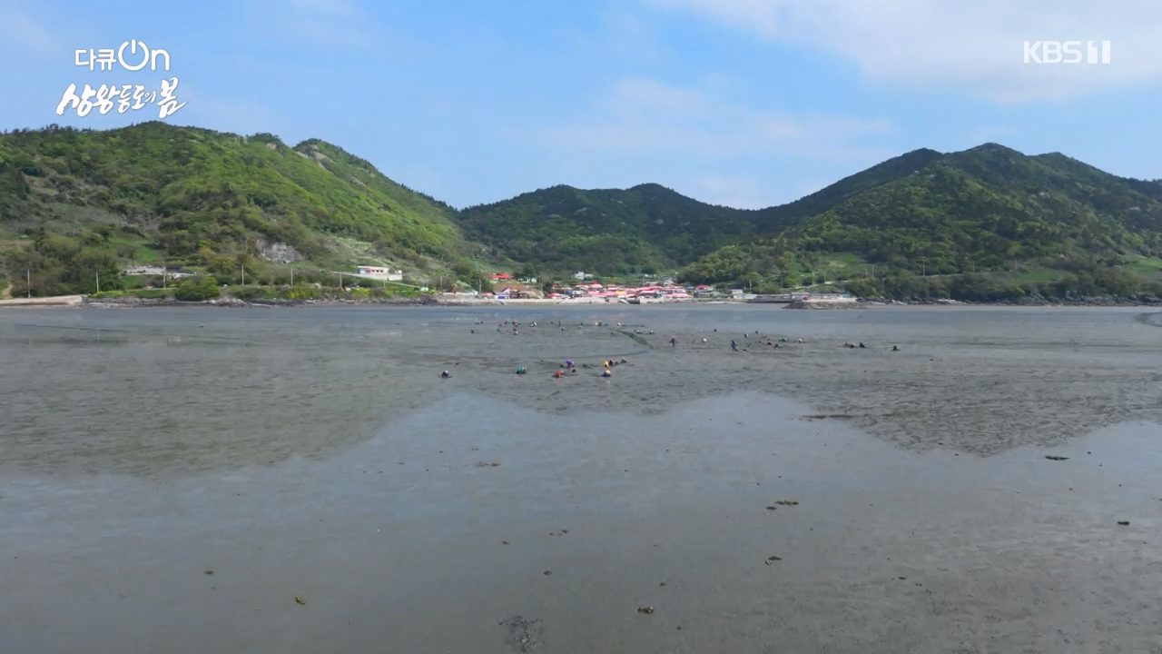 다큐 온.E249.240526p-NEXT.mp4_20240526_152347.158.jpg