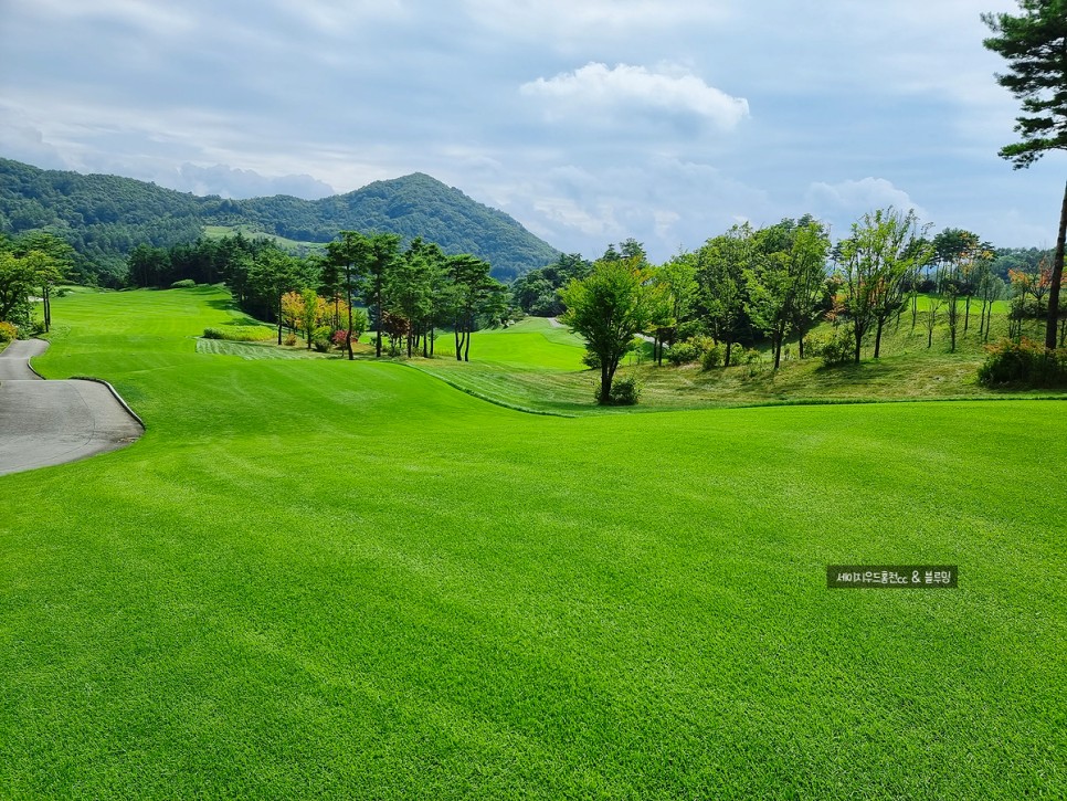 골프에 반하다 세이지우드홍천cc 골프에 반하다촬영지 4