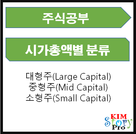  주식시장에서 시가총액별로 나눠지는 주식분류