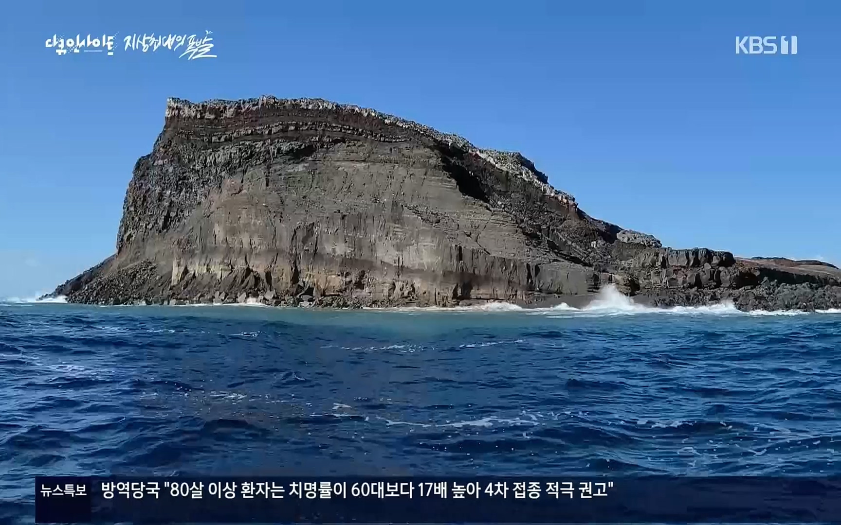 다큐 인사이트.E114.220526p.H264-F1RST.mp4_20220531_204815.855.jpg