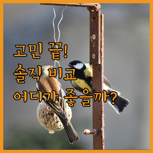 브라티슬라바 숙소 고민? 비엔나 하우
