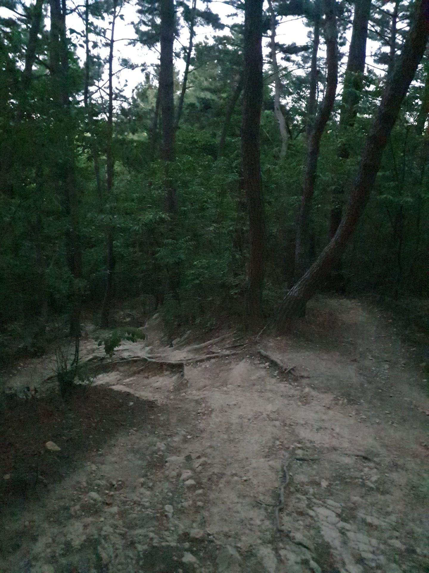 20220526_194617.jpg
