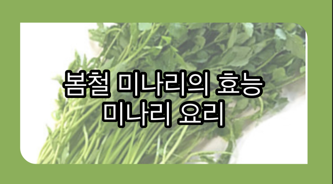  봄철 미나리의 효능과 미나리 요리