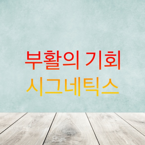  시그네틱스 주가, 전망(033170)