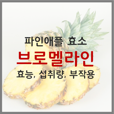  브로멜라인의 효능, 함유 식품, 섭취량, 부작용 등 총 정리