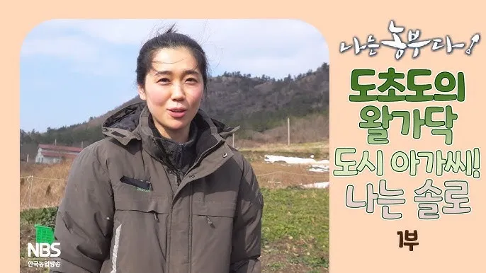 도초도 배시간표 신안 배편 요금 예매_5