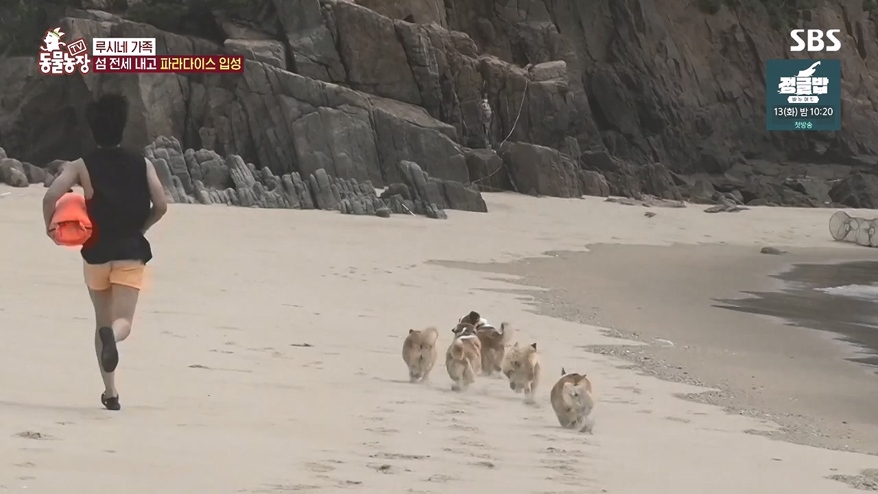 TV 동물농장.E1184.240812p-NEXT.mp4_20240811_172457.507.jpg
