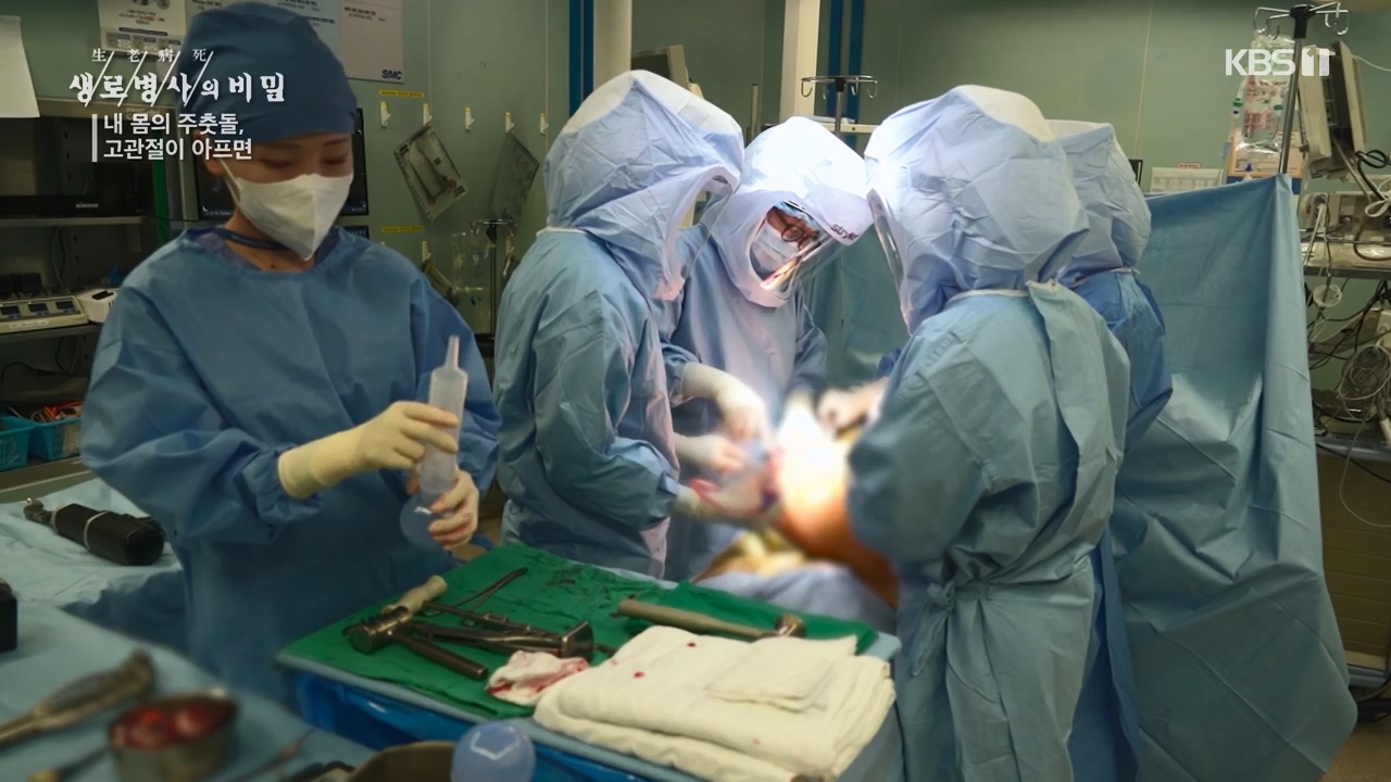생로병사의 비밀.E890.231116p-NEXT.mp4_20231116_204853.866.jpg
